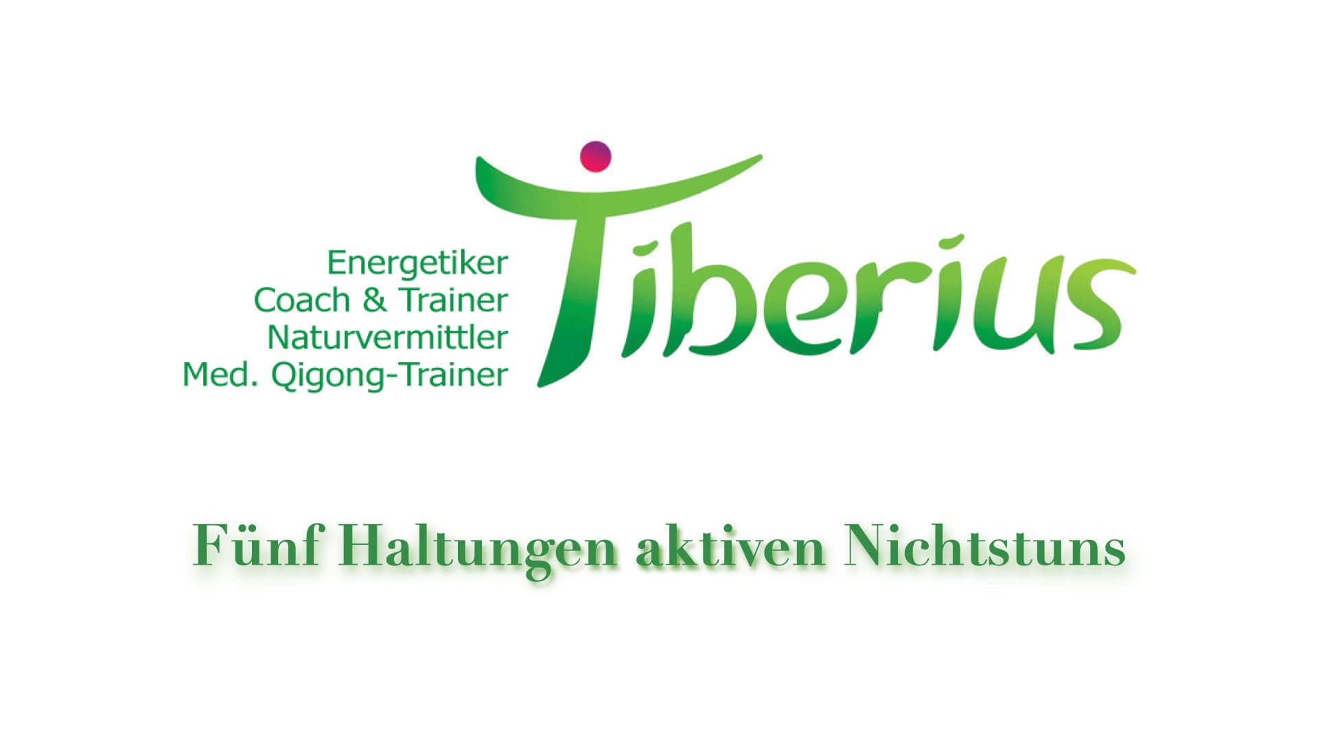 Fünf Haltungen aktiven Nichtstuns Produktbild