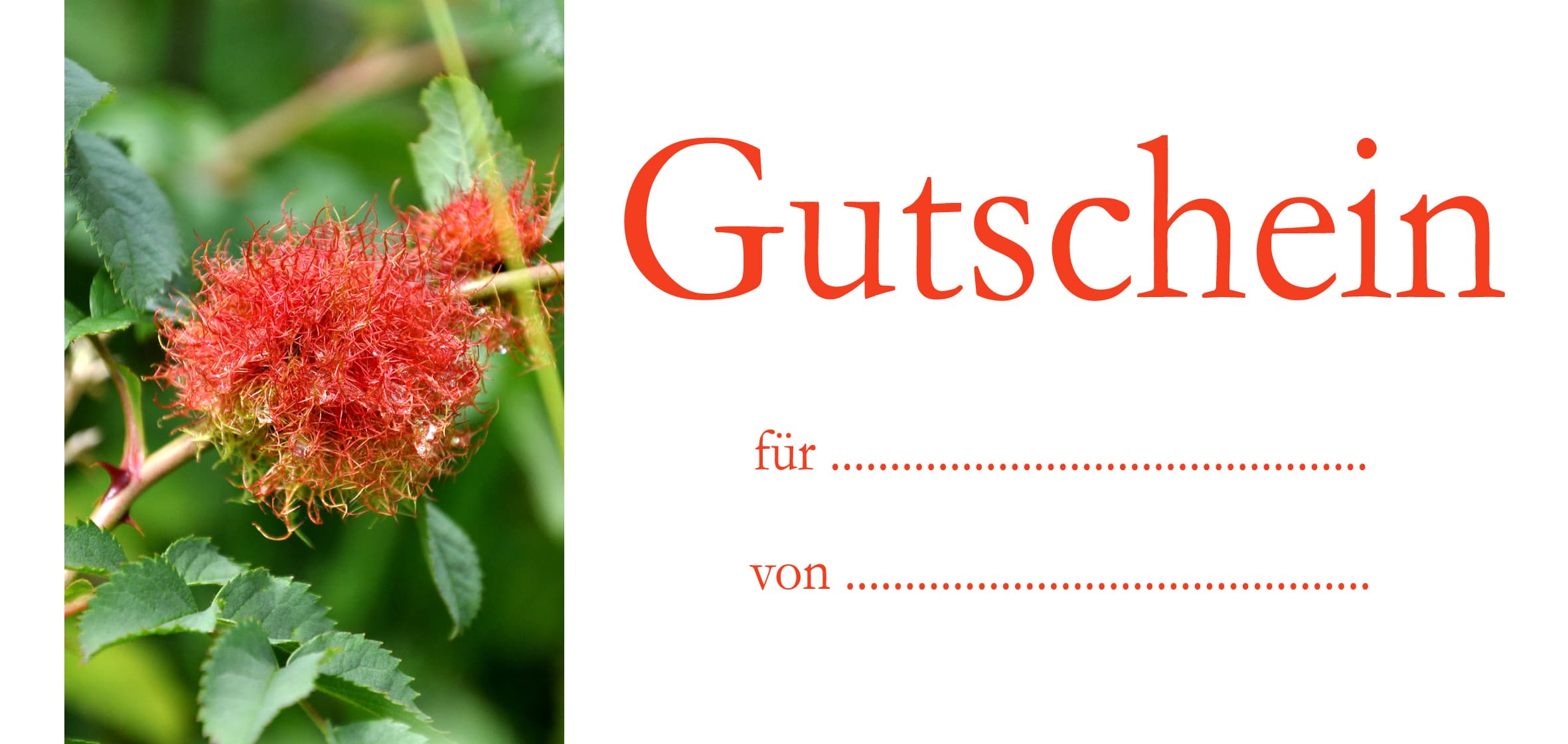 Eine Auszeit aus dem Alltag Produktbild